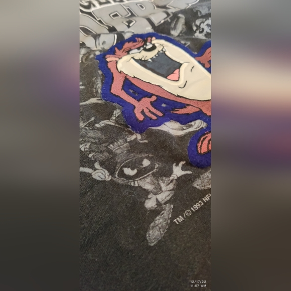 SUPER RARE OLD VINTAGE 1993 RAIDERS TAZ STITCHED EMBROIDERED NFL WARNER BROTHERS - Picture 7 of 7